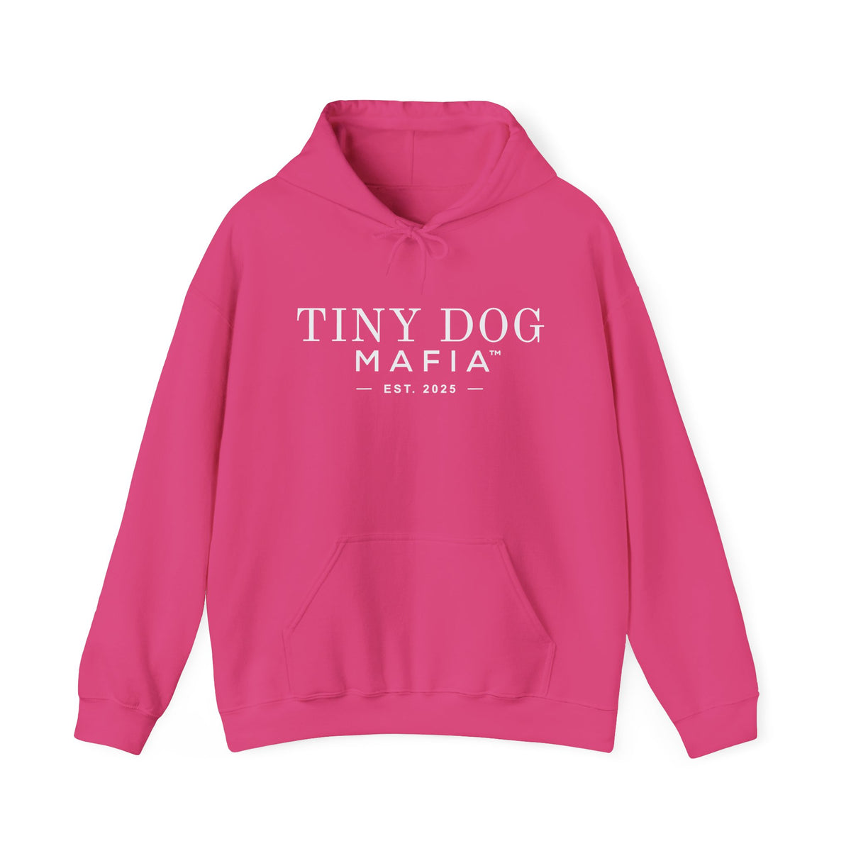 Founding Family - Est. 2025 Hoodie