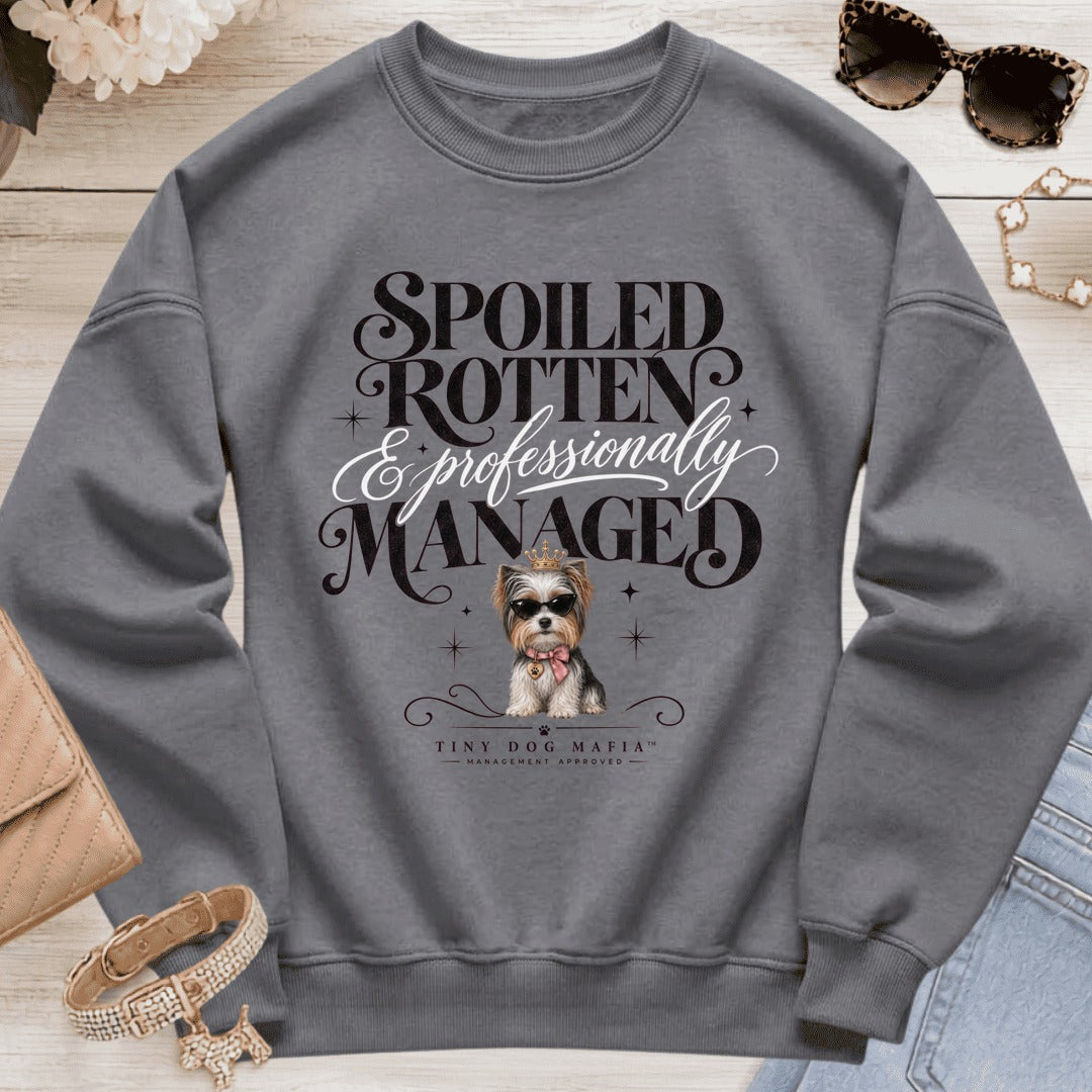 Biewer Terrier - Spoiled & Managed - Graphite Heather