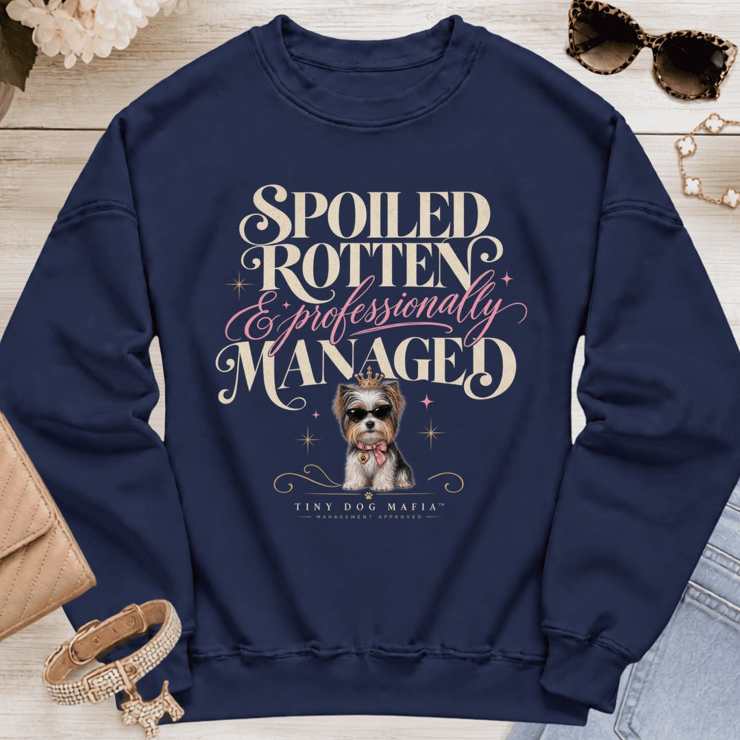 Biewer Terrier - Spoiled & Managed - Navy