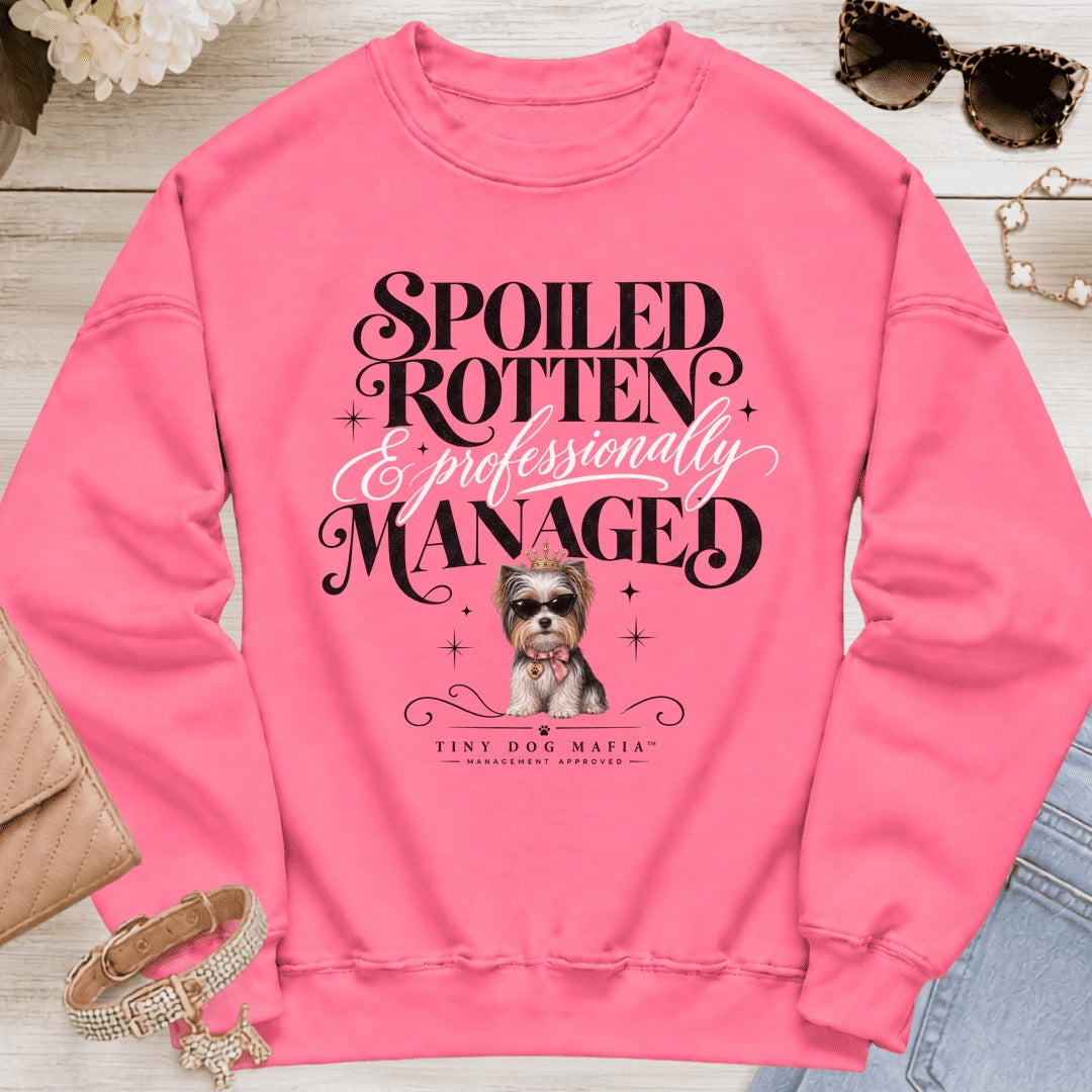 Biewer Terrier - Spoiled & Managed - Safety Pink