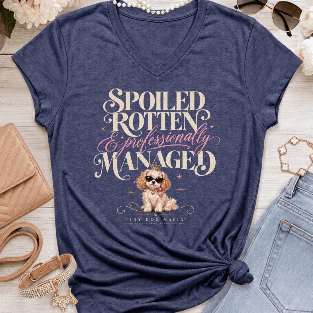 Cavachon - Spoiled & Managed Vneck - Heather Navy