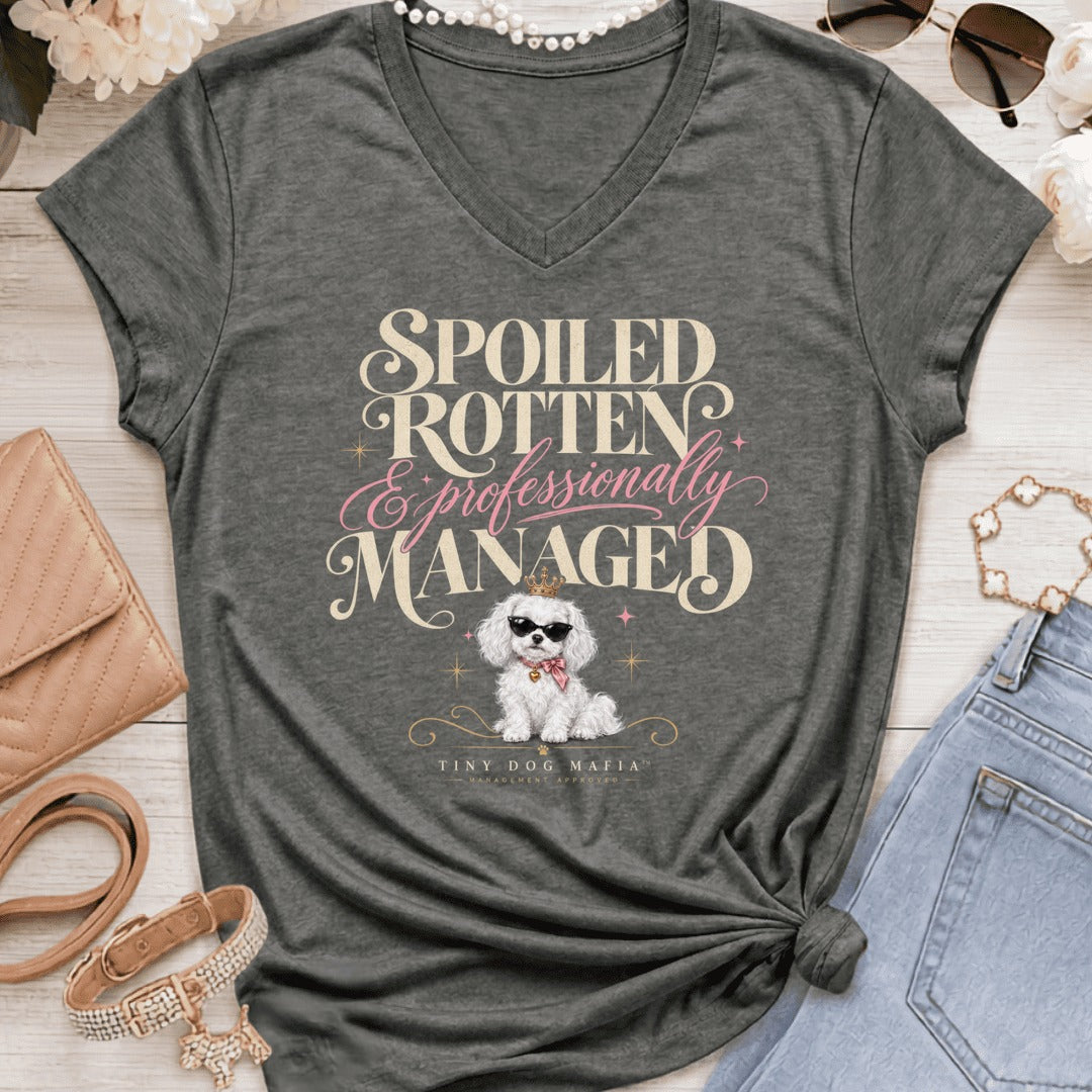 Cavachon White - Spoiled & Managed Vneck - Graphite Heather