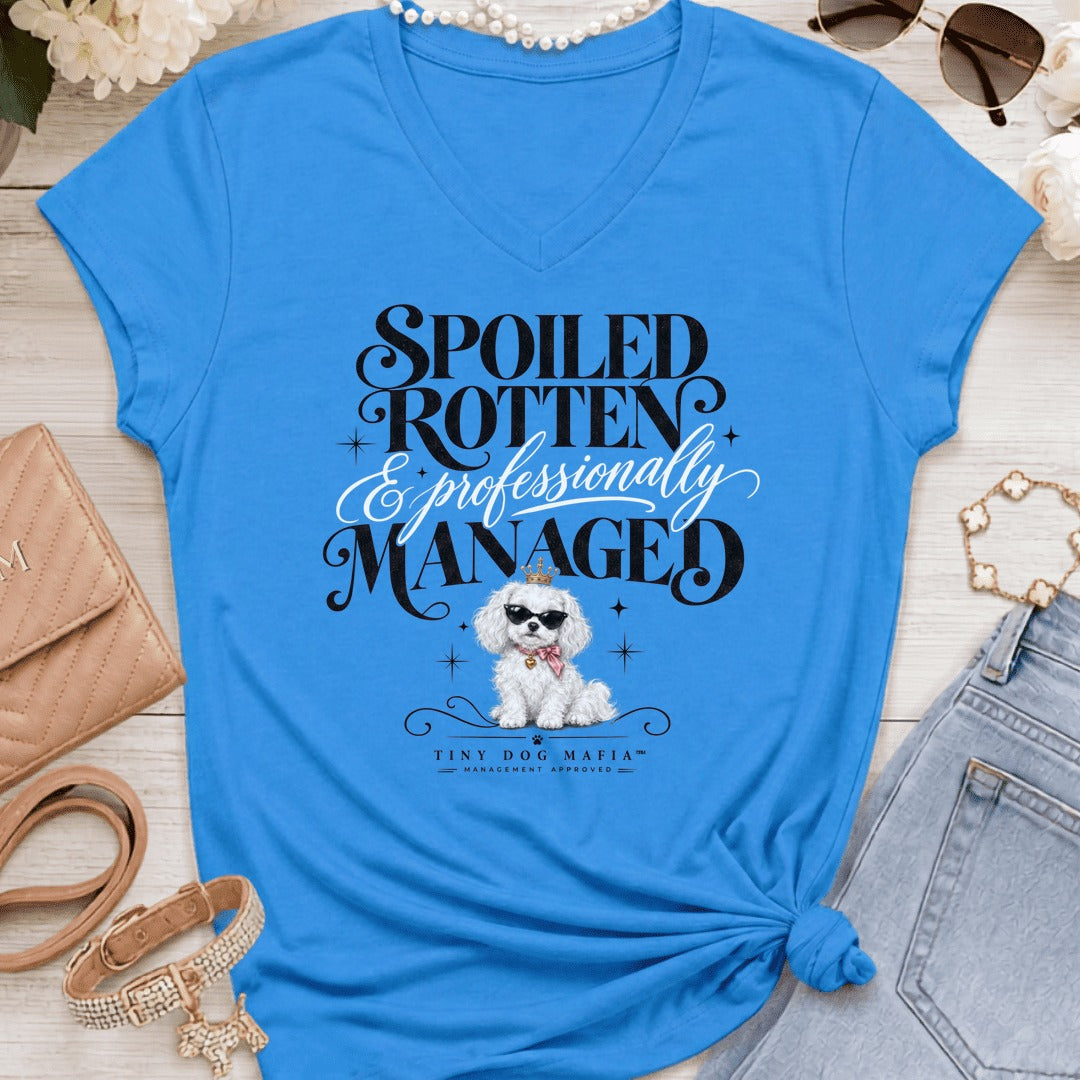 Cavachon White - Spoiled & Managed Vneck - Sapphire