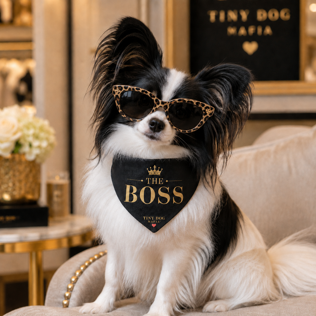 The Boss - Bandana