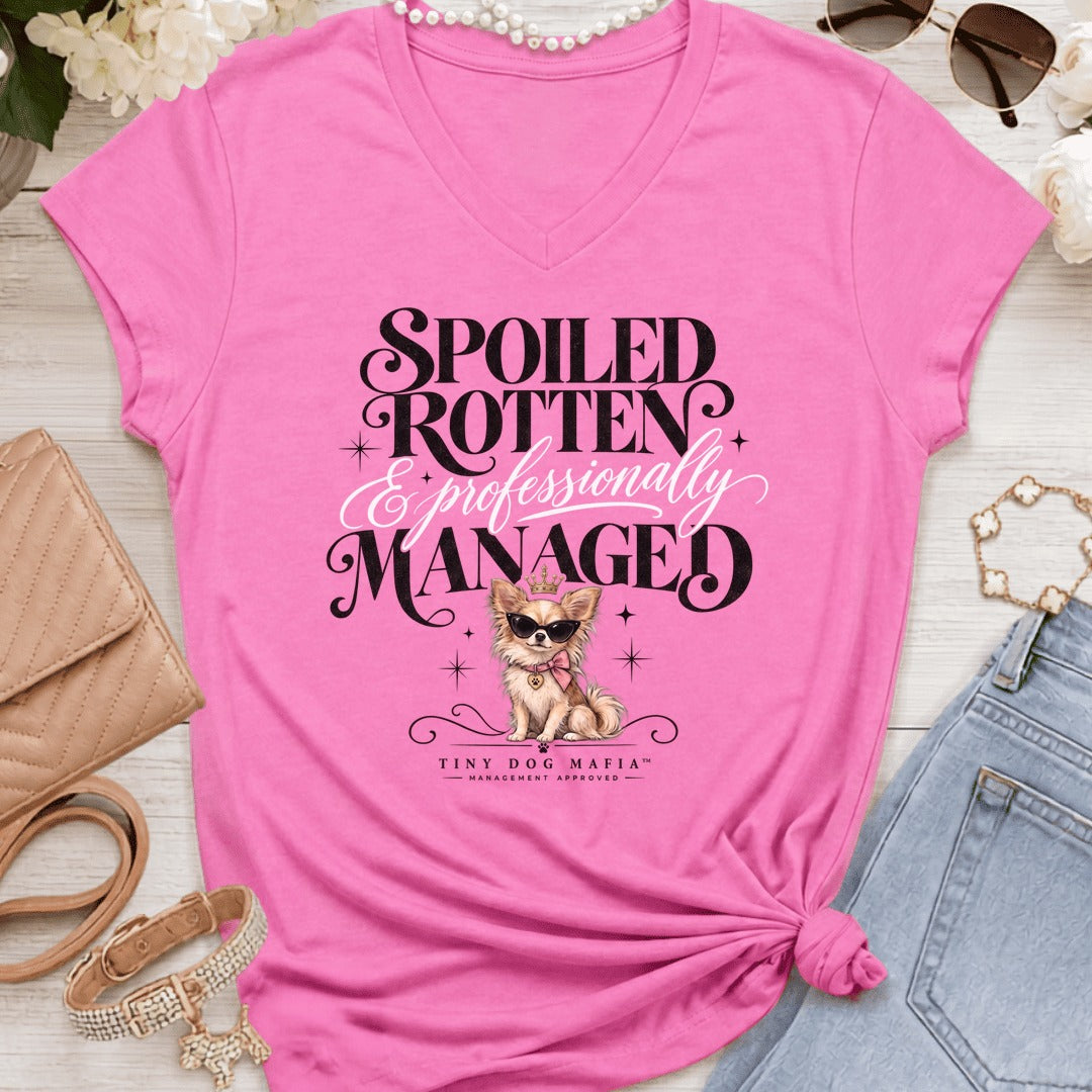 Chihuahua Long Hair Light - Spoiled & Managed Vneck - Azalea