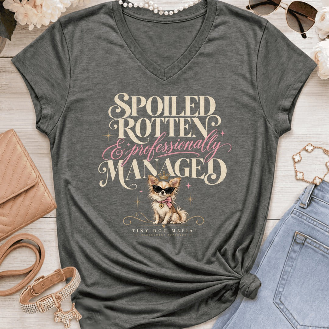 Chihuahua Long Hair Light - Spoiled & Managed Vneck - Graphite Heather