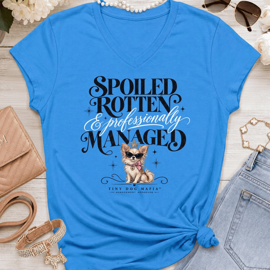 Chihuahua Long Hair Light - Spoiled & Managed Vneck - Sapphire