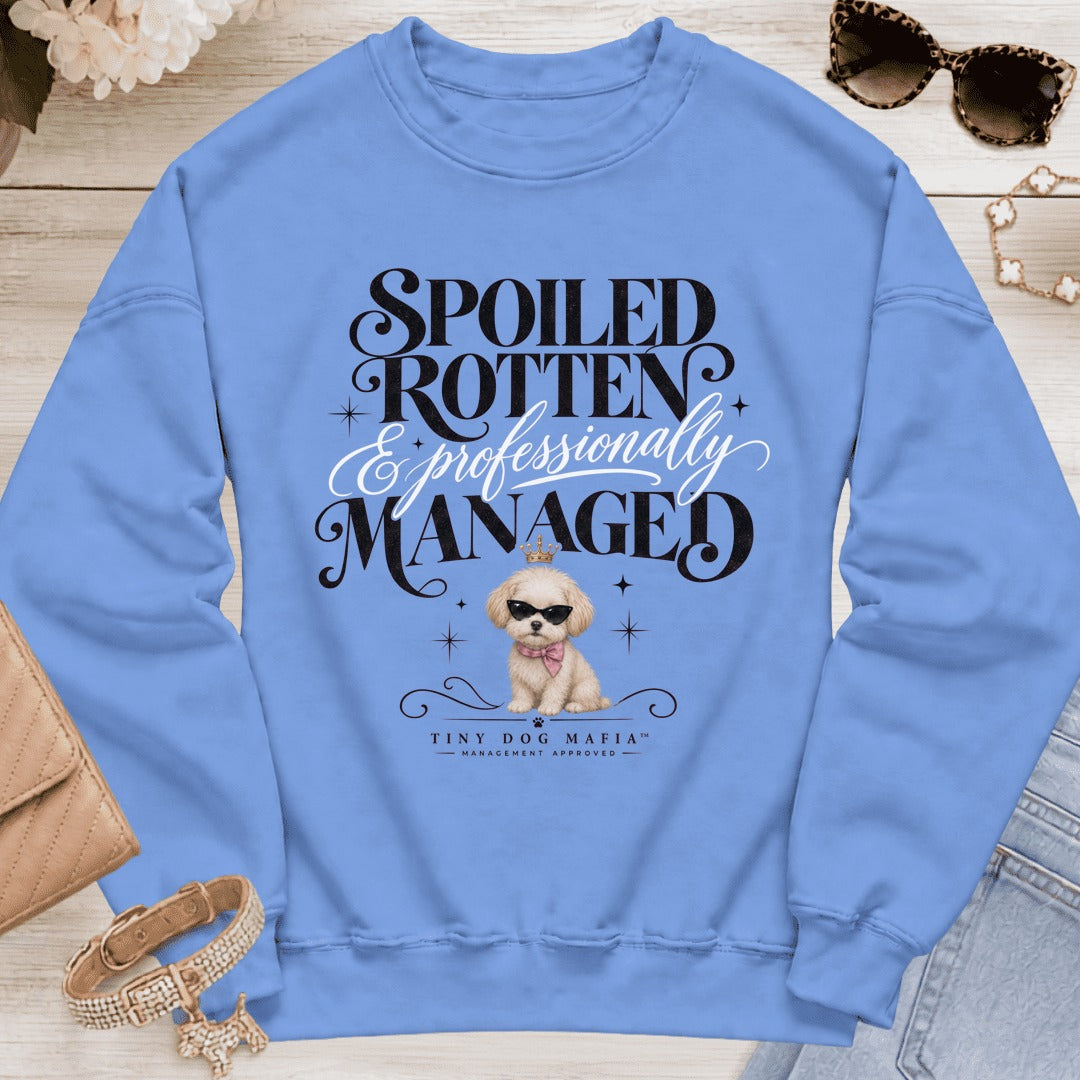 Maltipoo - Spoiled & Managed - Carolina Blue