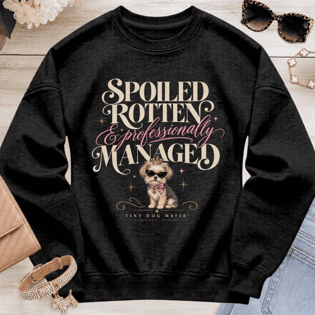 Morkie - Spoiled & Managed - Black