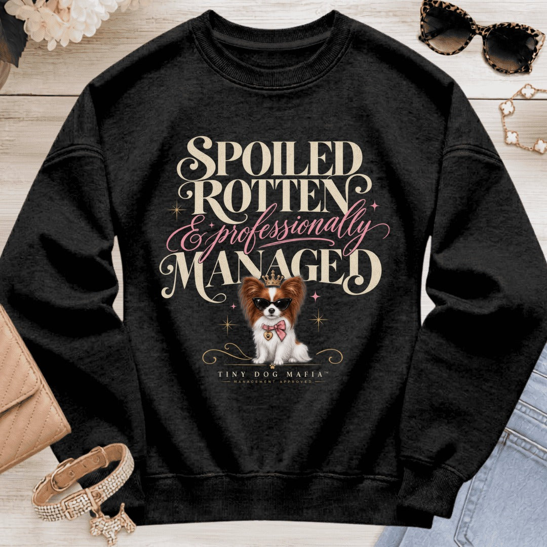 Papillon Red White - Spoiled & Managed - Black