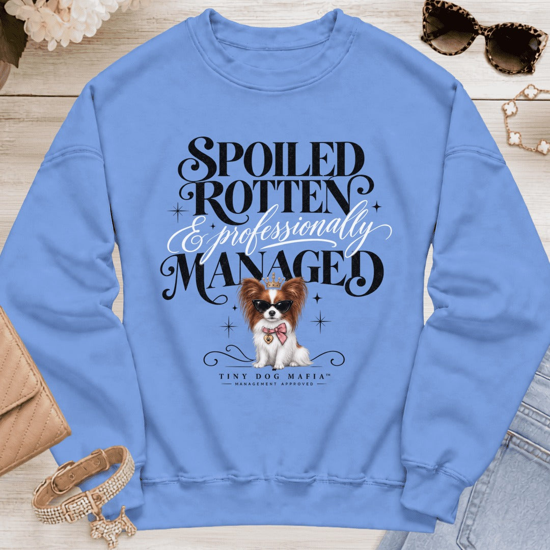 Papillon Red White - Spoiled & Managed - Carolina Blue