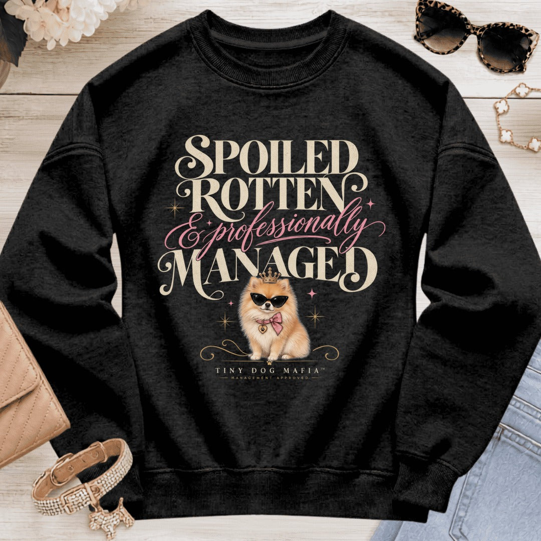 Pomeranian - Spoiled & Managed - Black