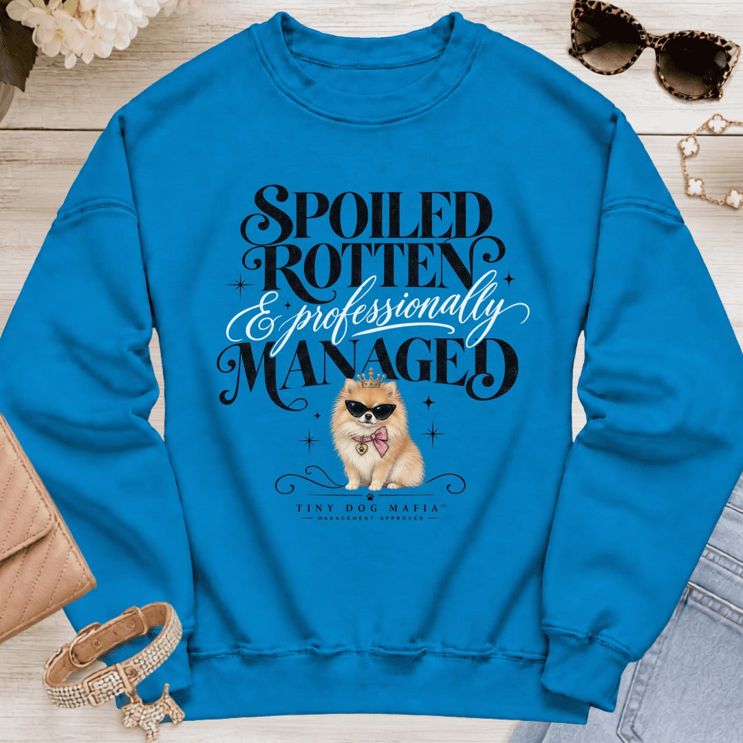 Pomeranian - Spoiled & Managed - Sapphire
