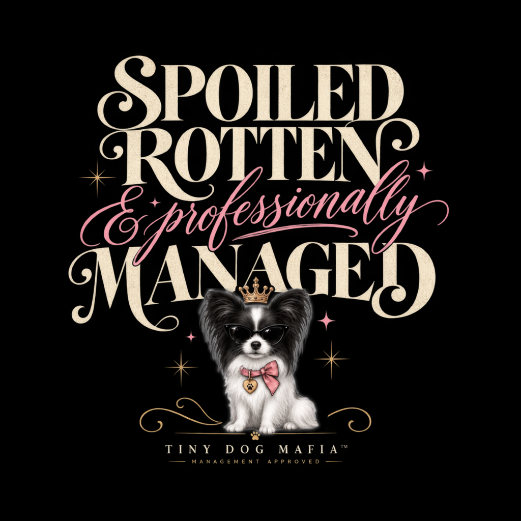 Papillon Black/White | Spoiled & Managed V-Neck